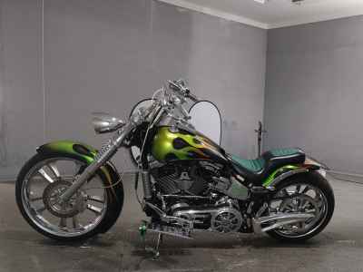 Harley-Davidson Deluxe FLSTN1580 2007