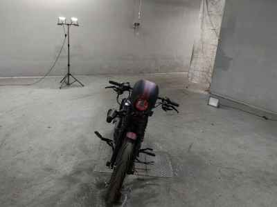 Harley-Davidson Iron XL1200NS 2019