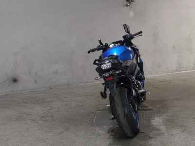 Suzuki GSX-S1000
