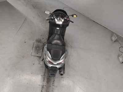 Honda Forza Z