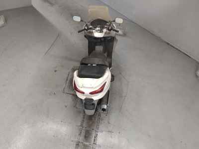 Honda Forza Z 2005