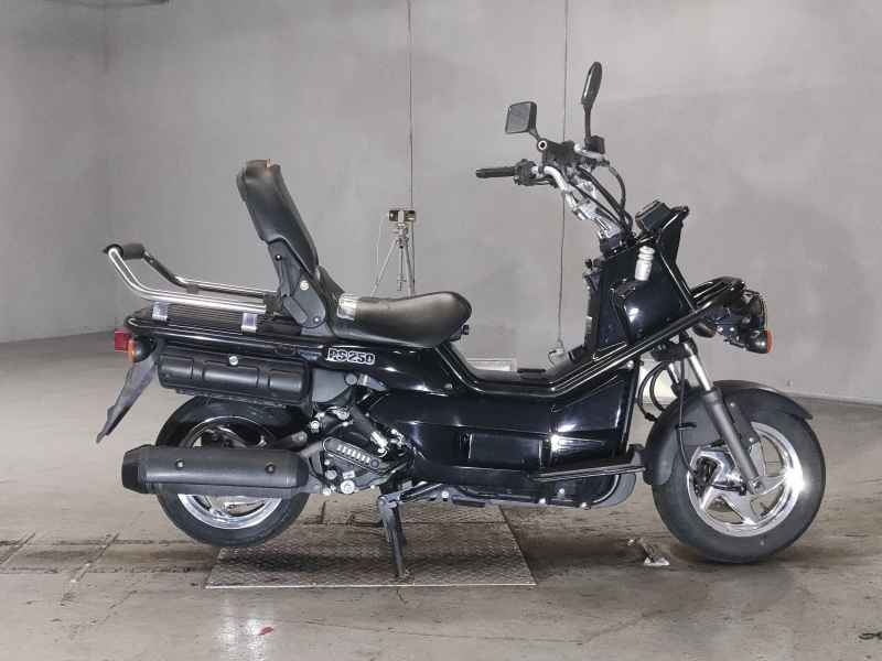 Honda PS250 Big Ruckus