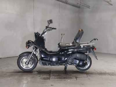 Honda PS250 Big Ruckus