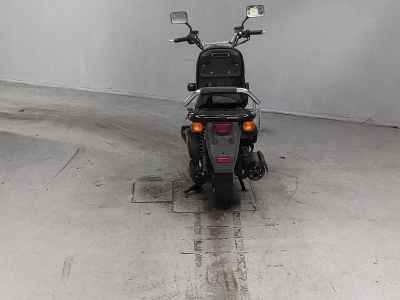 Honda PS250 Big Ruckus