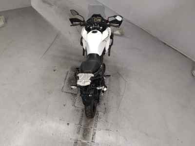 Kawasaki Versys-X 250
