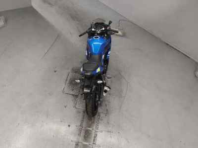 Suzuki GSX250R