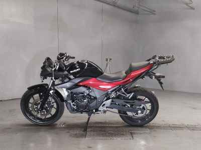 Suzuki GSX250R