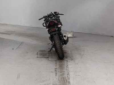 Suzuki GSX250R
