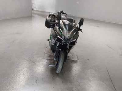 Kawasaki Ninja H2 SX 2019
