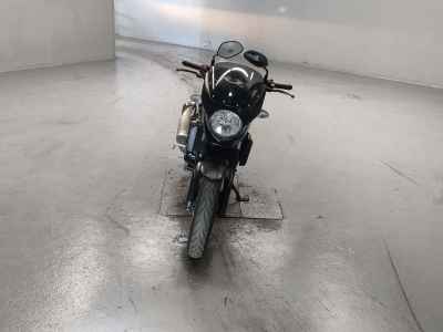 Suzuki SV650 2019