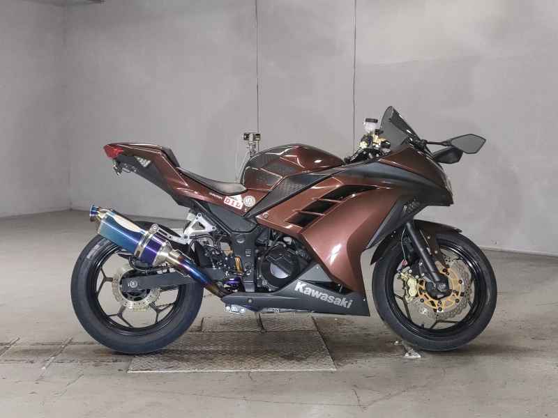 Kawasaki Ninja 300 2013