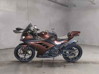 Kawasaki Ninja 300 2013