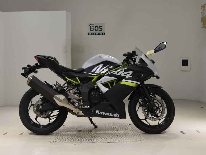 Kawasaki Ninja 250 2020
