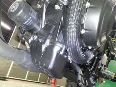 Honda CL500 2025