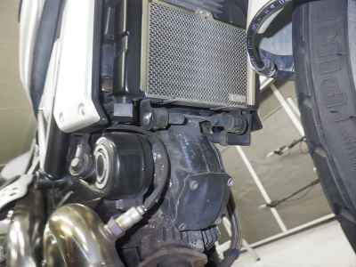 Ducati Scrambler 1100 2020