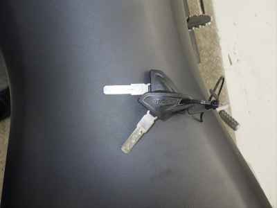 Ducati Scrambler 1100 2020