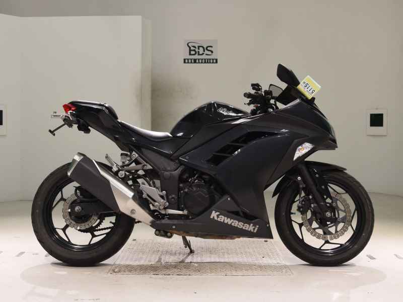 Kawasaki Ninja 250 2013