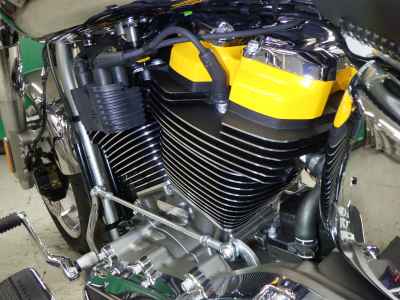 Harley-Davidson FLSTFI 2025