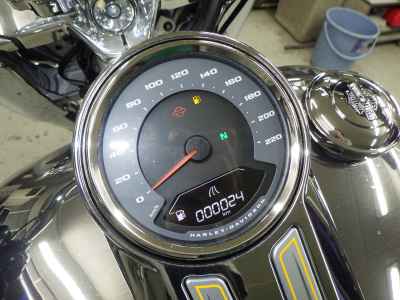 Harley-Davidson FLSTFI 2025