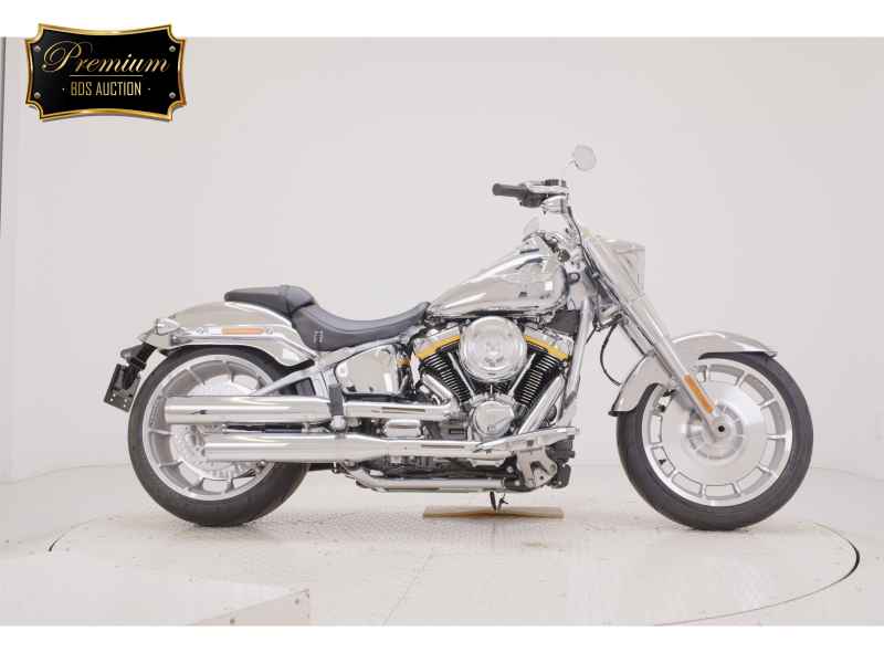 Harley-Davidson FLSTFI 2025
