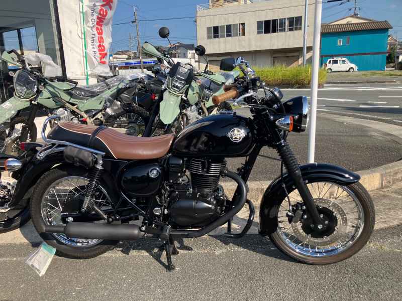 Kawasaki Estrella RS 2017