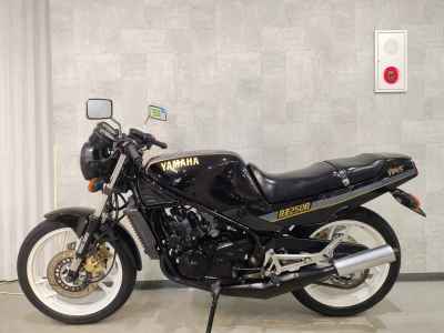 Yamaha RZ250R