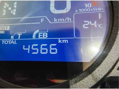 Honda Hawk 11 2024