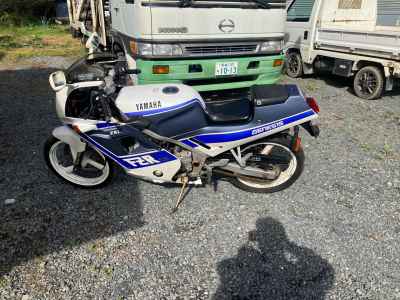 Yamaha FZR250