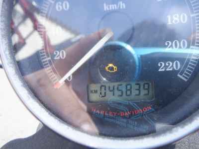Harley-Davidson Sportster XL883R 2006