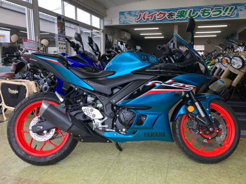 Yamaha YZF-R25