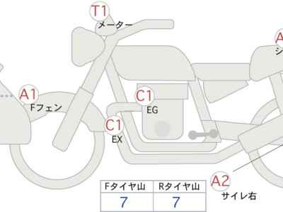 Ducati Paul Smart 1000 LE 2009