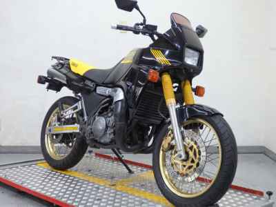 Yamaha TDR250