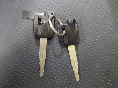 Suzuki Skywave 250
