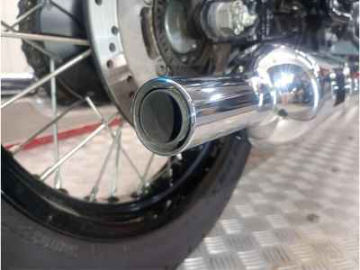 Kawasaki W800 2022