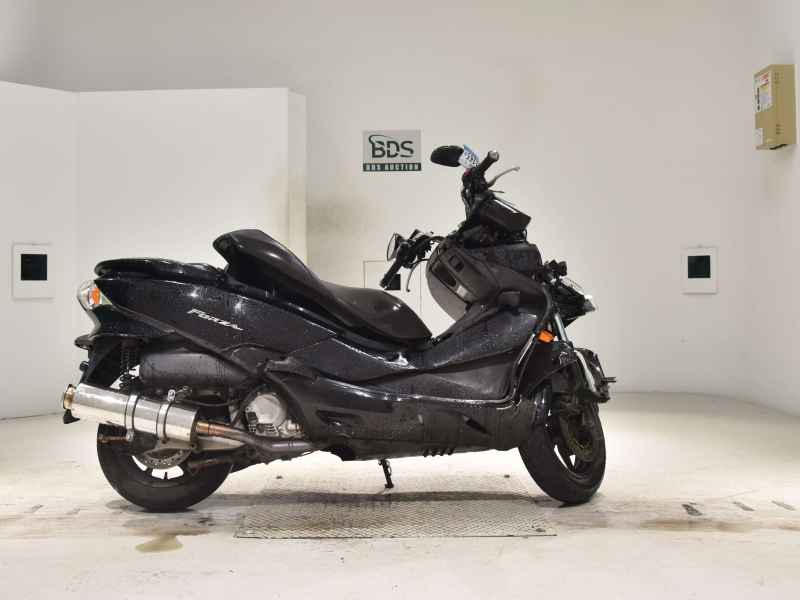 Honda Forza Z 2009