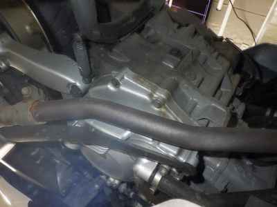 Honda Forza Z 2010