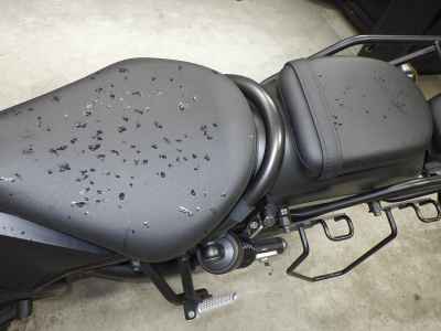 Honda Rebel CMX250 2019
