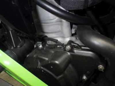 Kawasaki Ninja ZX-4RR 2025