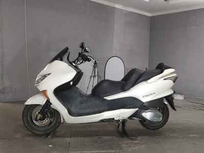 Honda Forza Z 2006