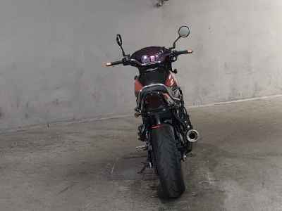 Kawasaki Z900RS 2019