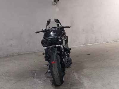 Kawasaki Ninja 1000SX 2024