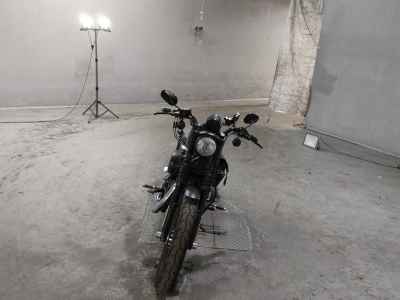 Harley-Davidson Sportster Iron XL883N 2013