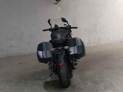 Kawasaki Ninja 1000 2015