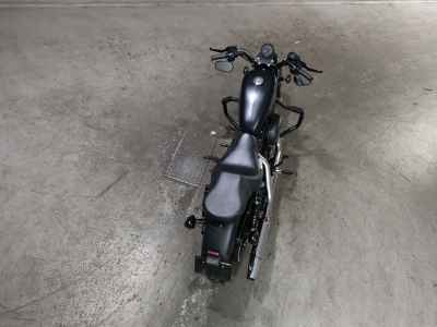 Harley-Davidson Sportster Iron XL883N 2015