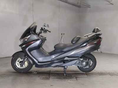 Kawasaki Epsilon 250 2006