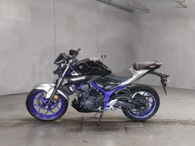 Yamaha MT-25 2016