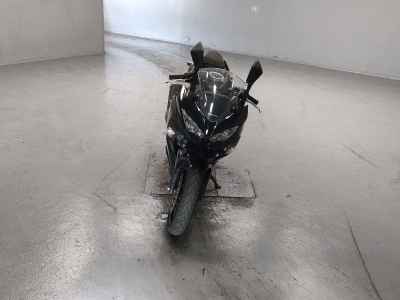 Kawasaki Ninja 250 2022