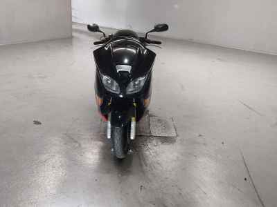 Honda Forza Z 2007