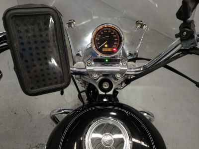 Harley-Davidson Sportster XL1200L 2010