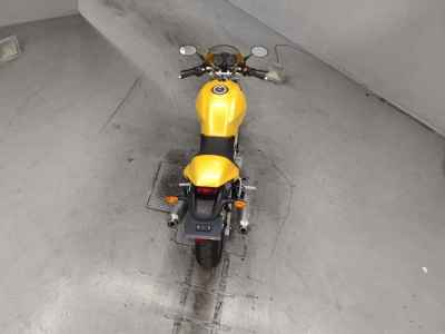 Ducati Monster 800 2005